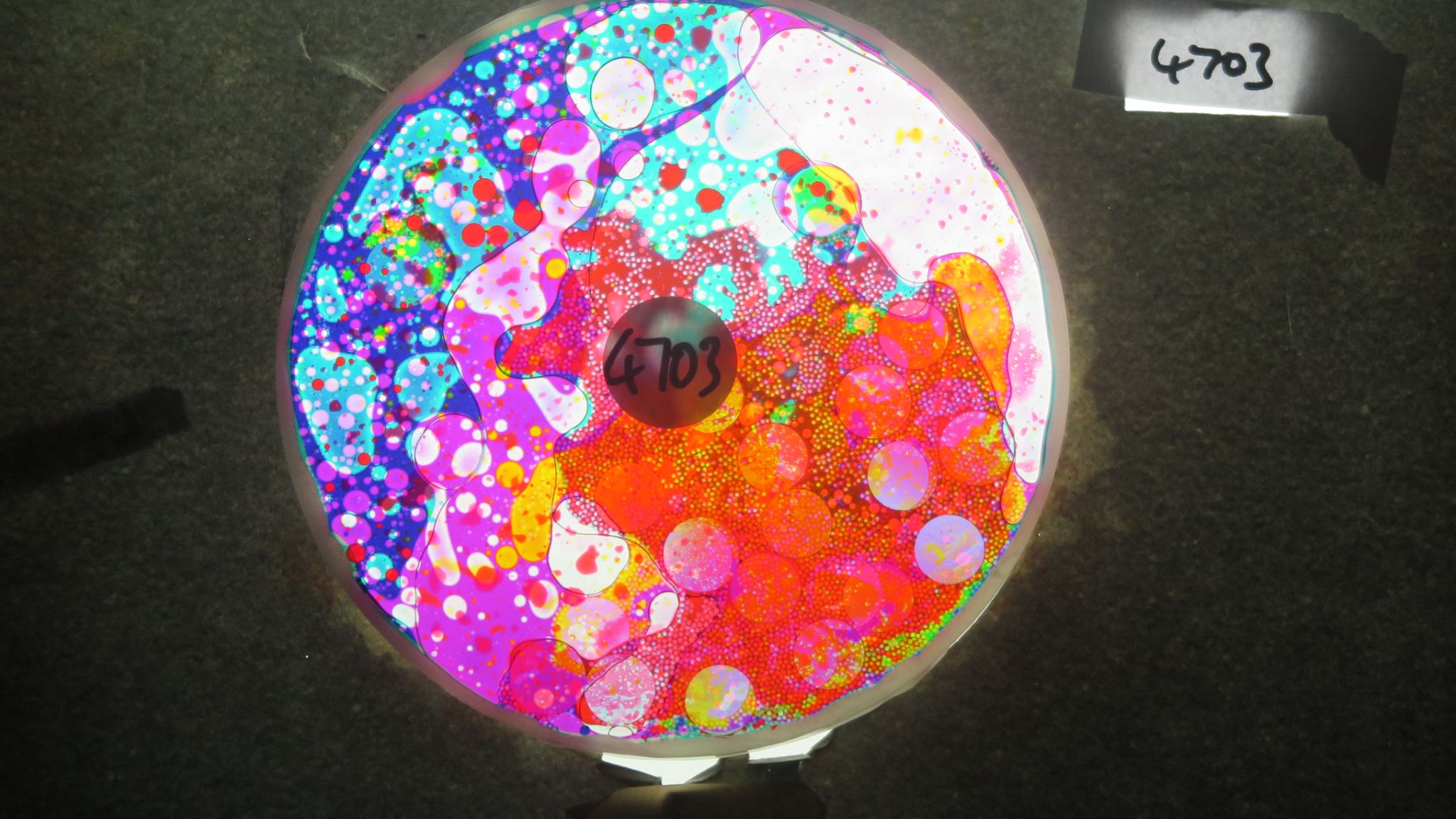 BV4703 bubble vision oil wheel